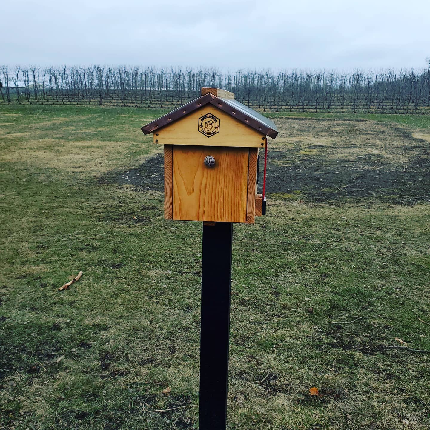 Today in order of what I felt the most to least competent doing: mailed gay things from the cutest apple orchard mailbox, walked along foggy rows of trees and held a toddler and a baby. Also: somehow the toddler has decided that my name is George. I'm okay with that.